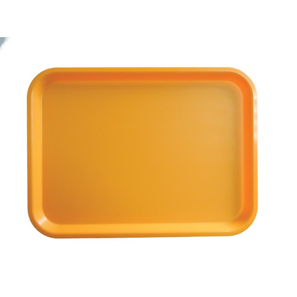 Polypropylen Tablett 415×305 mm